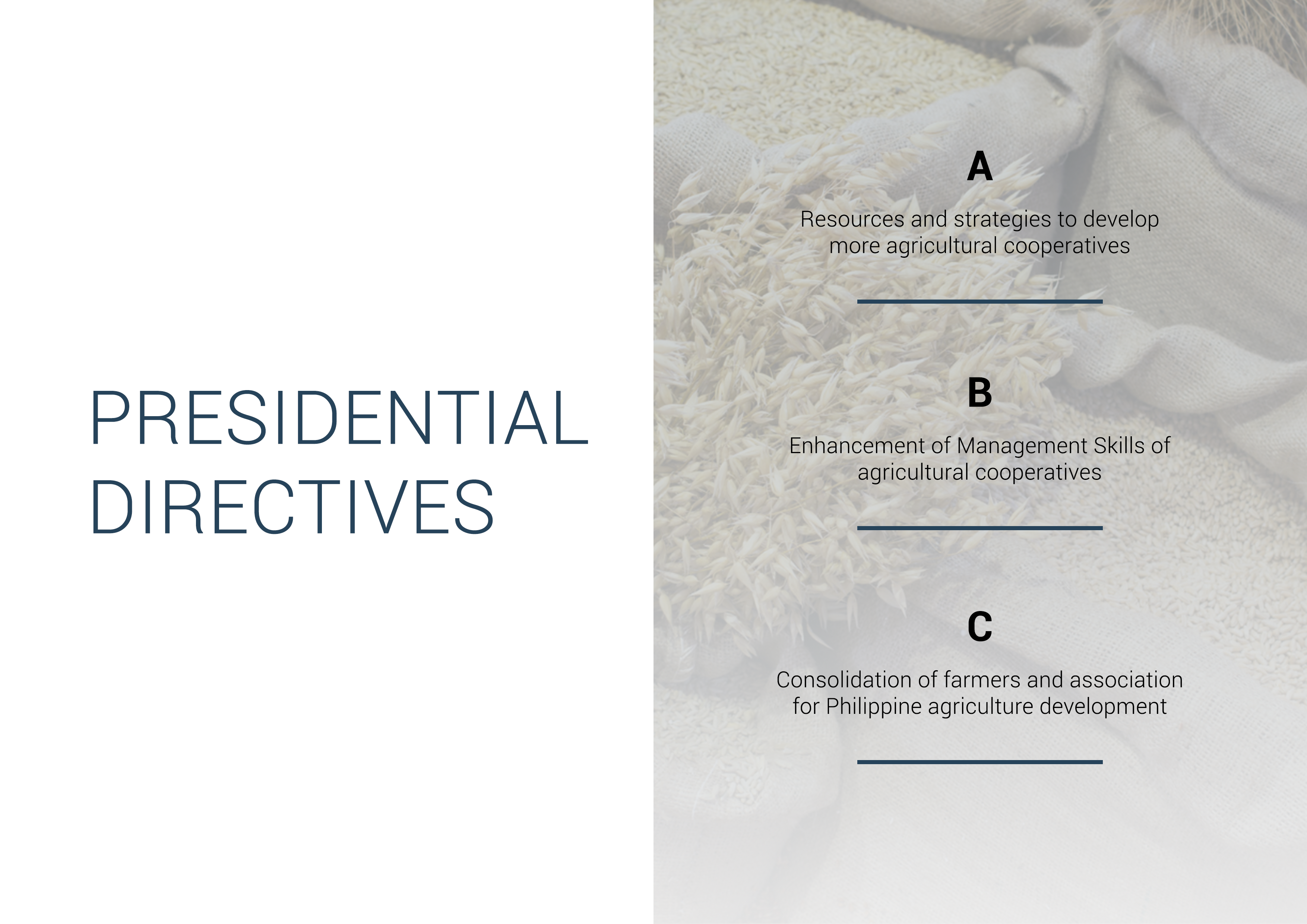 Presdl directives PH